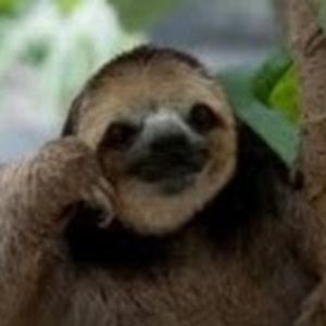 Meet your Posher, Shoshana